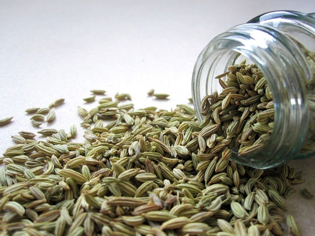 Fennel Seeds Top 5 Ayurvedic Herbs To Improve Digestion